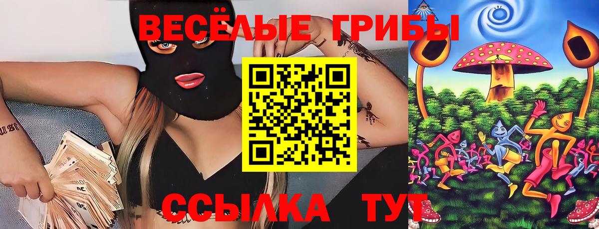 Москва  Галлюциногенные грибы Psilocybe  Псилоцибиновые грибы Psilocybe  Вход с VPN 